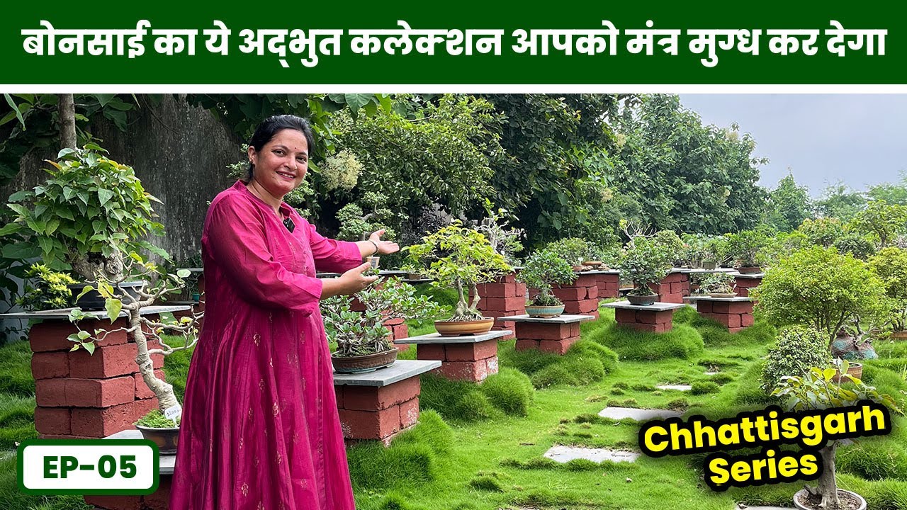 बोनसाई का ये अद्भुत कलेक्शन आपको मंत्र मुग्ध कर देगा 🥰 Bonsai Garden Tour EP-05