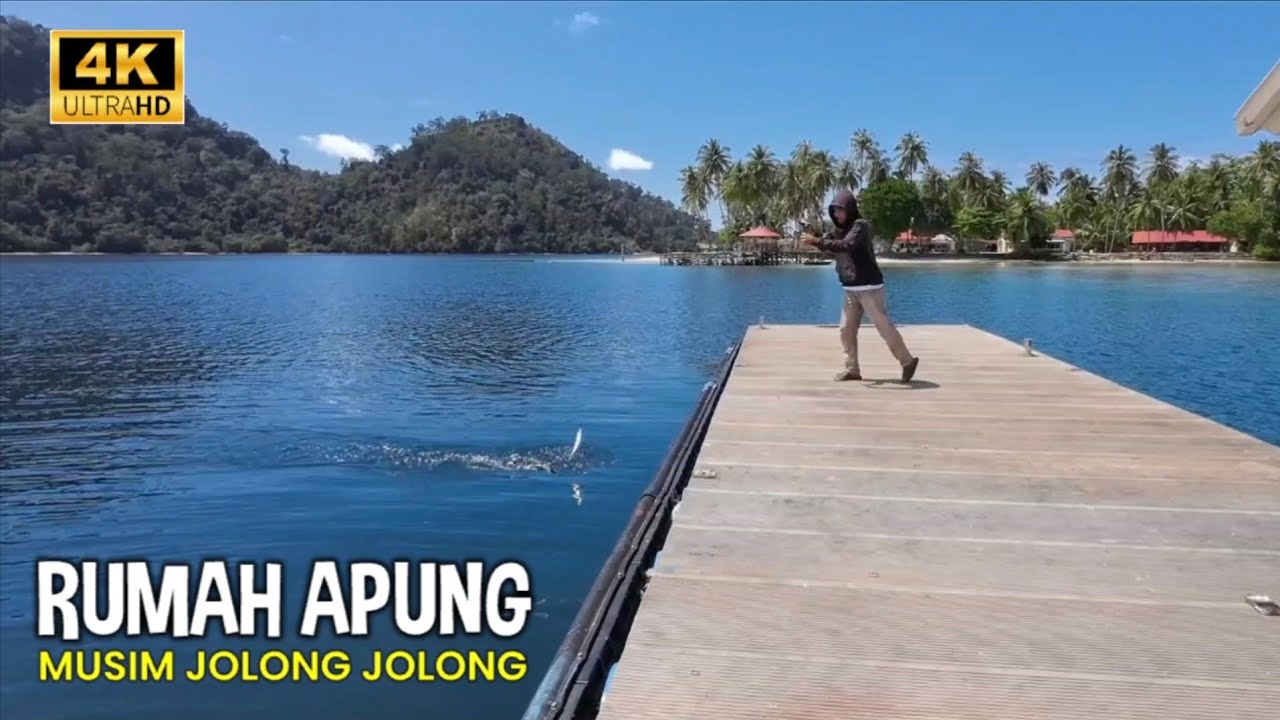 Musim Ikan Jolong Jolong di Rumah Apung Pulau Pasumpahan, Mandeh, Padang