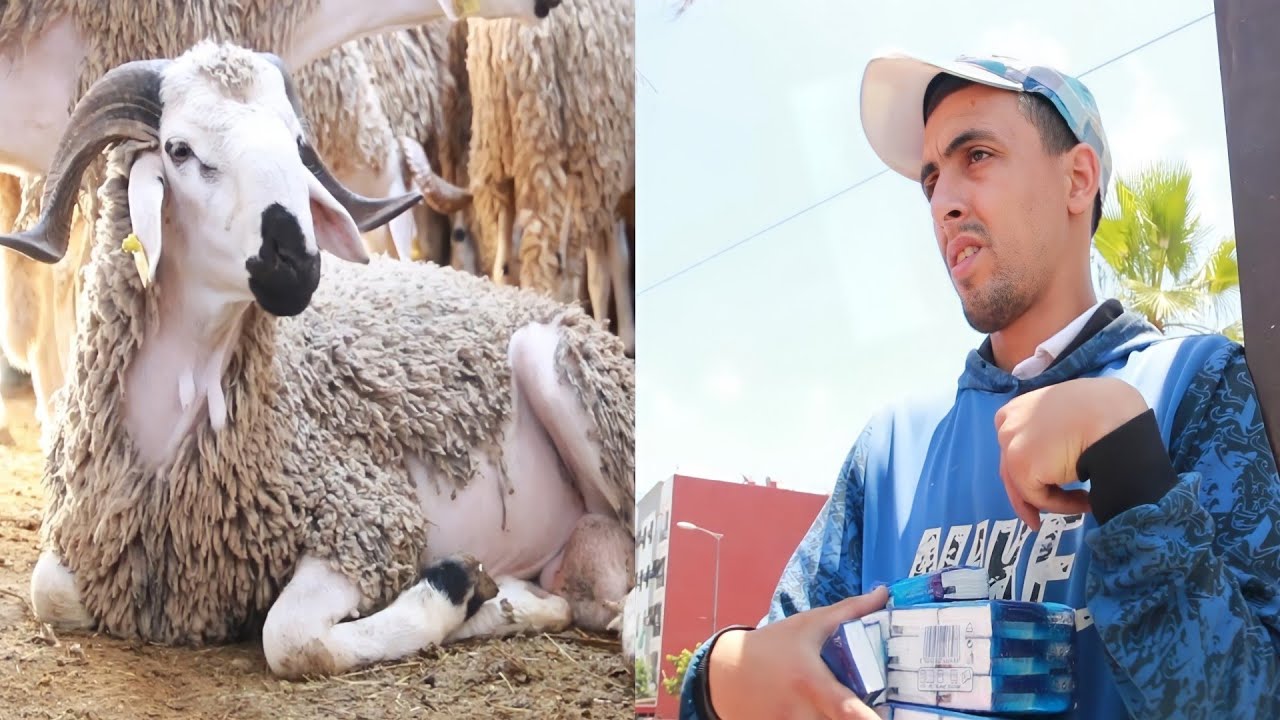 الفقر اراد منعي من فرحة العيد😢😢..لكن المعاق اراد..(قصة واقعية)