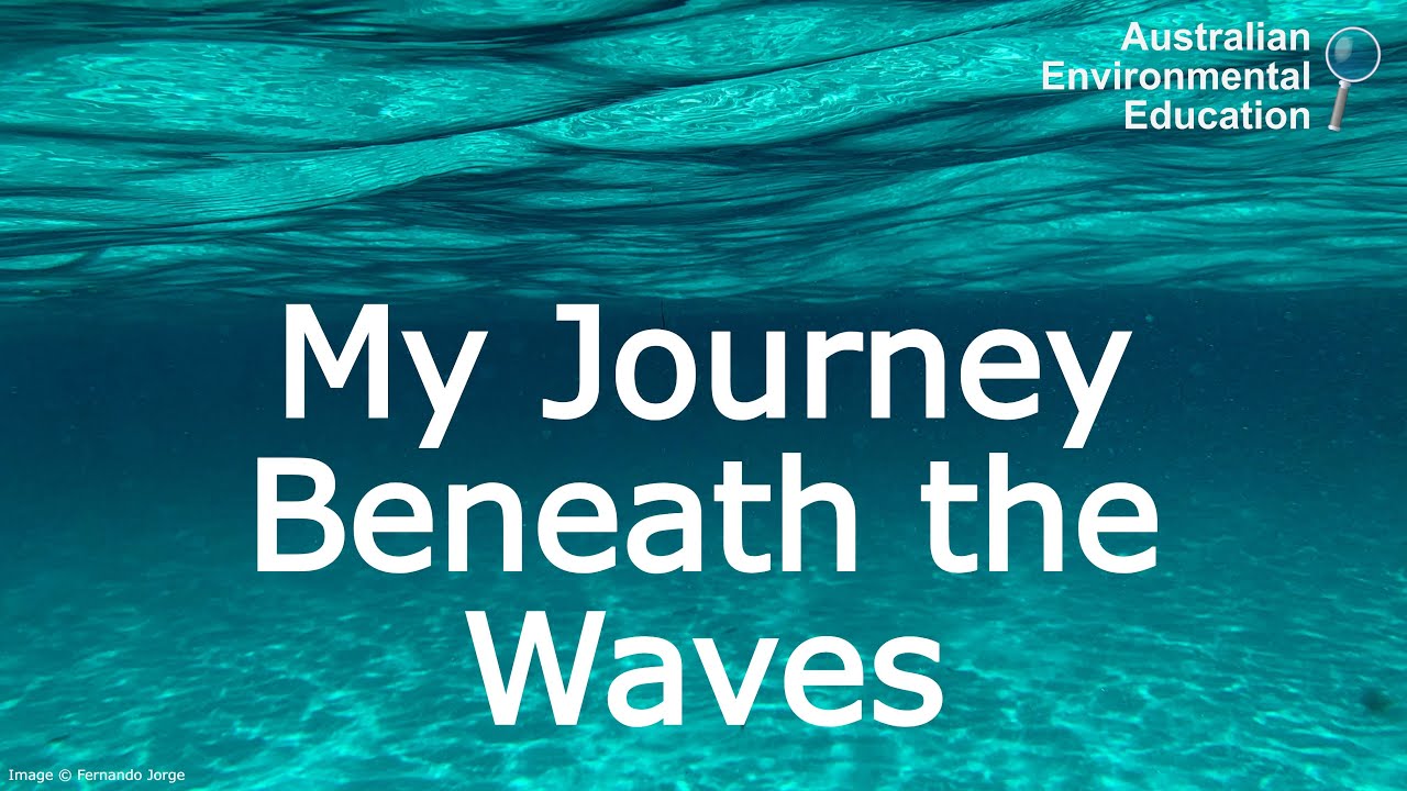 SeaWeek 2024: My Journey Beneath the Waves