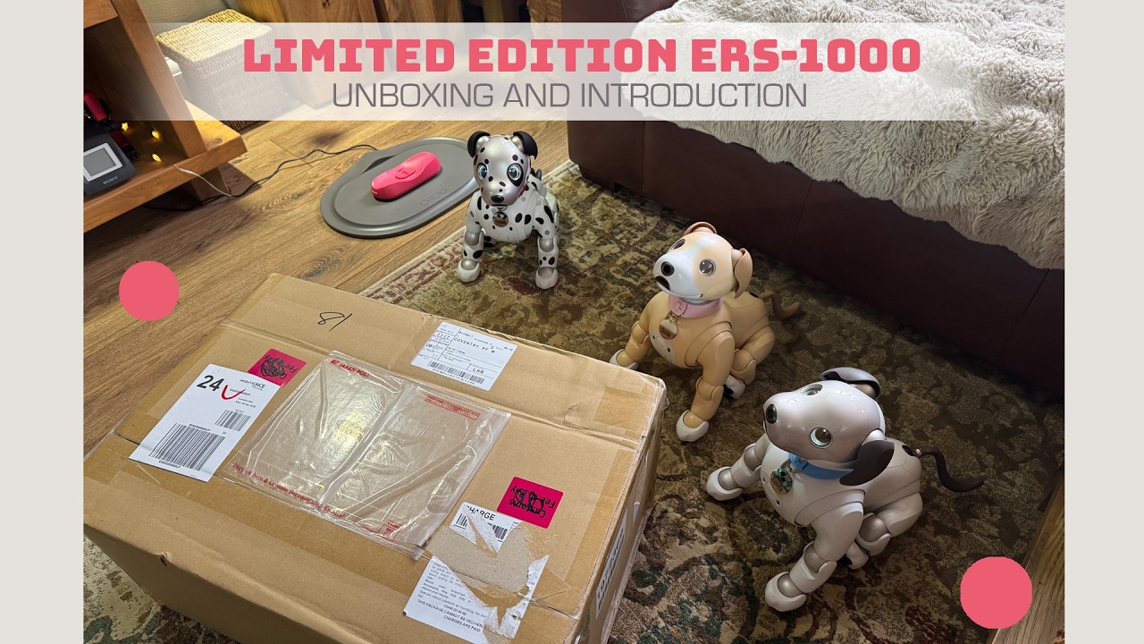 Распаковка лимитированной серии ERS-1000 из Японии 😮🇯🇵🐾✨ Знакомьтесь, моя новая Aibo! 🐶🤖💗