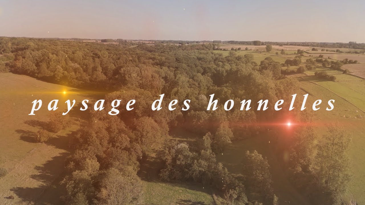 Paysage des Honnelles