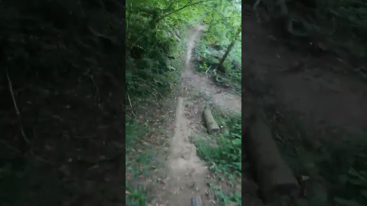 Pungitopo - 4 Venti #mtb #pungitopo #4venti #iosonofreeride