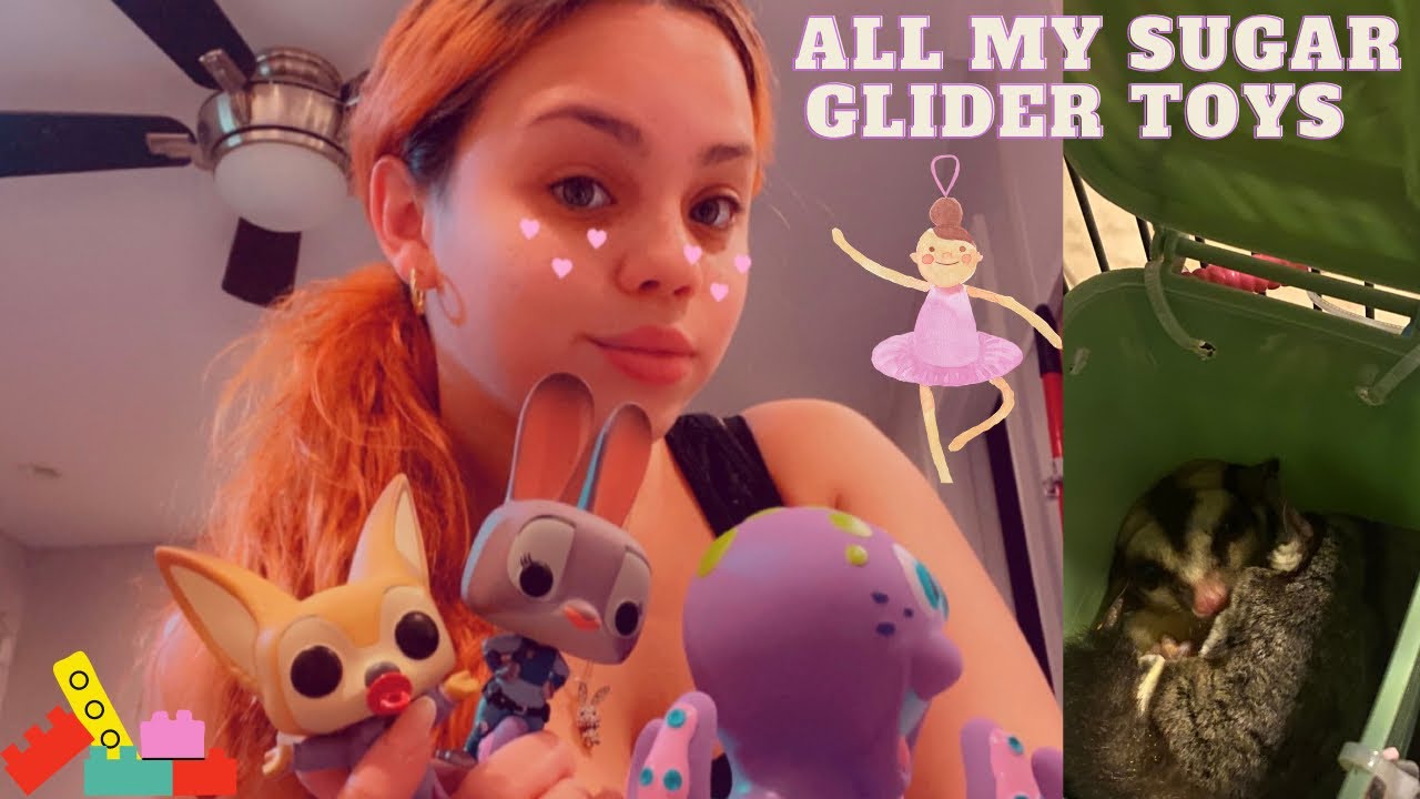 SHOWING YOU MY SUGAR GLIDER TOYS | CHATTY TOY VLOG