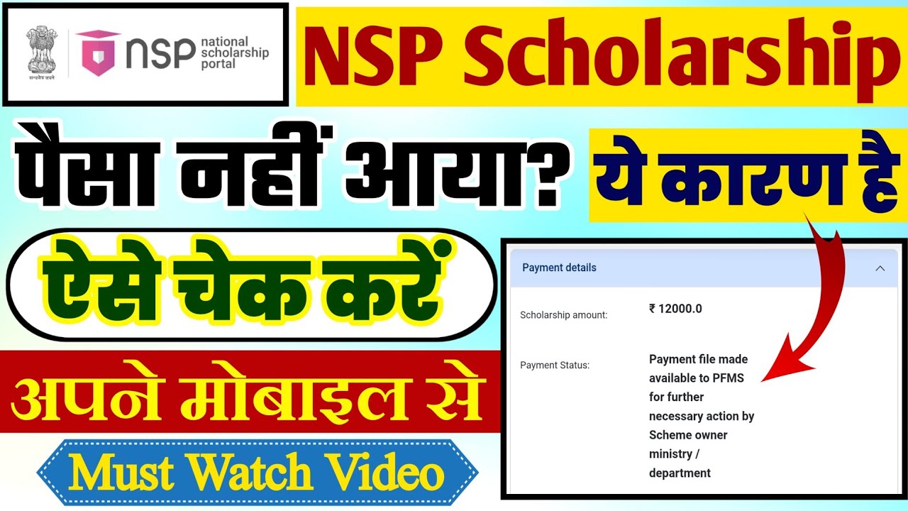 nsp scholarship payment kab aayega | nsp scholarship 2024-25 payment date | nsp DBT payment status
