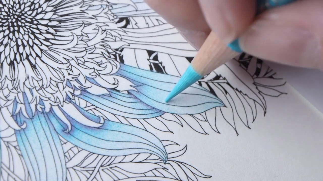 （大人の塗り絵）色鉛筆３色で影を作ってお花を水色で塗ってみた