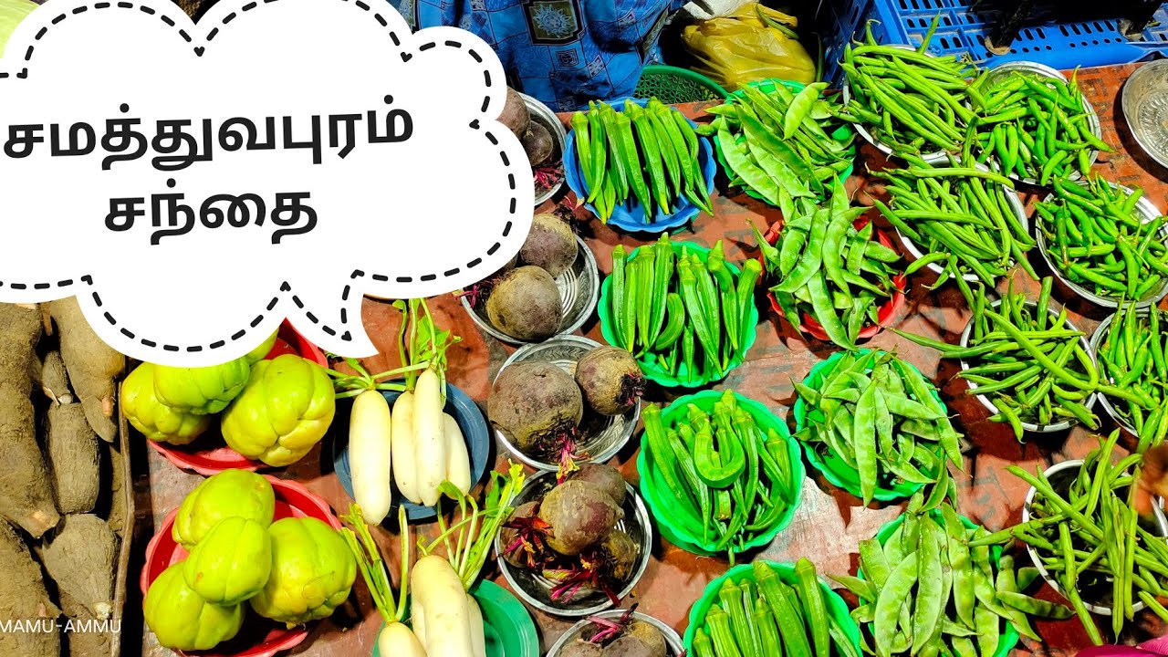 செவ்வாய் கிழமை சந்தை வீடியோ / சமத்துவபுரம் சந்தை / @mamu-ammu51021 