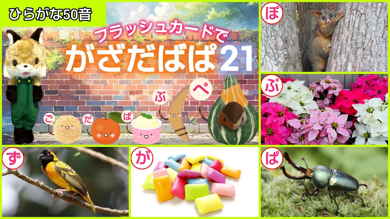 【フラッシュカード】ひらがな50音「フラッシュカードで♪がざだばぱ21」