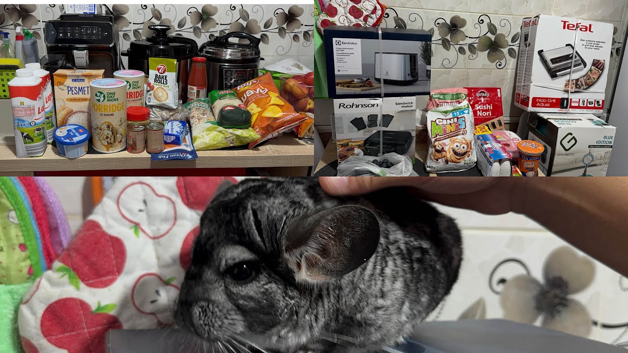 Cumpărături din Carrefour / Lidl/ Penny!