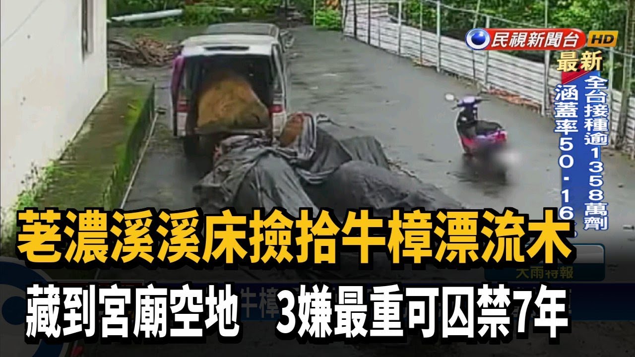 竊取珍貴牛樟木被逮 三嫌觸法最重可判七年－民視新聞