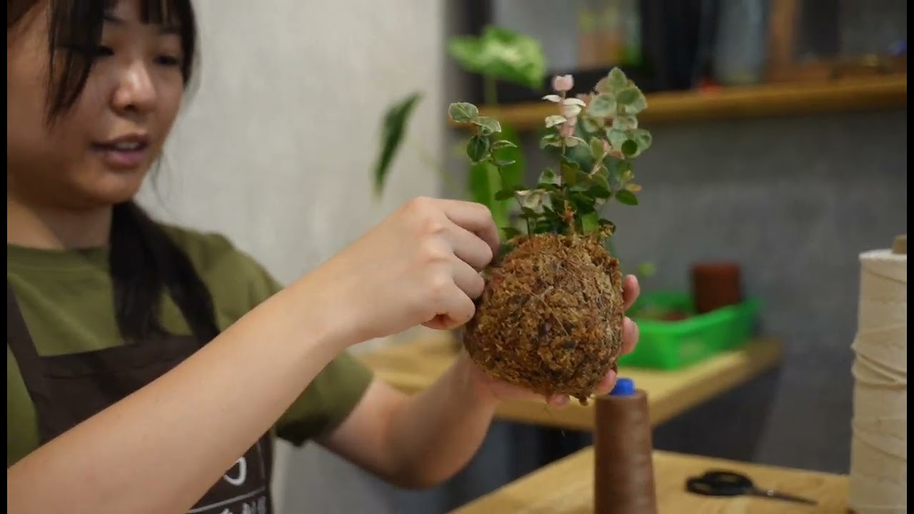 初雪葛苔球製作過程全公開|奕昇巧繪網