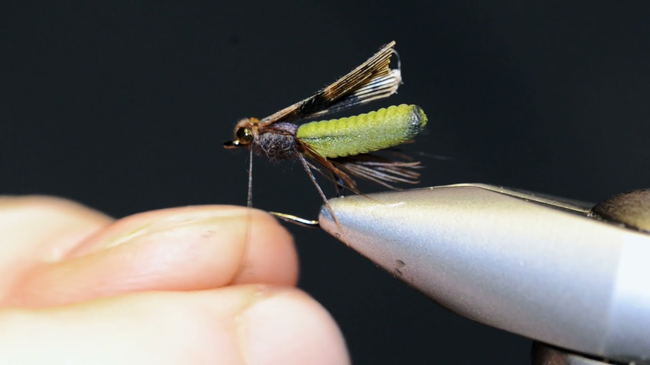 Fly tying: Swimming Caddis Pupa with Christoffer Johansen