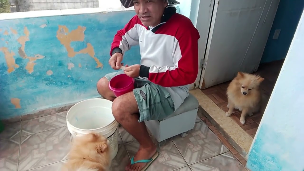 Fui colher feijão de corda e fiz um baião de dois 
