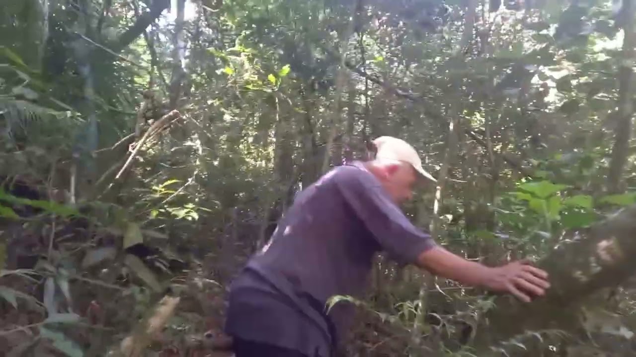 Wando e Kiko, as aventuras continuam  parte 2