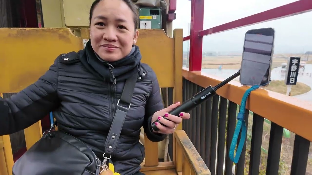 Honeymoon - Day 21 - Sagano Romantic train - Bamboo Forest - Kyoto - Fushimi Inari Shrine