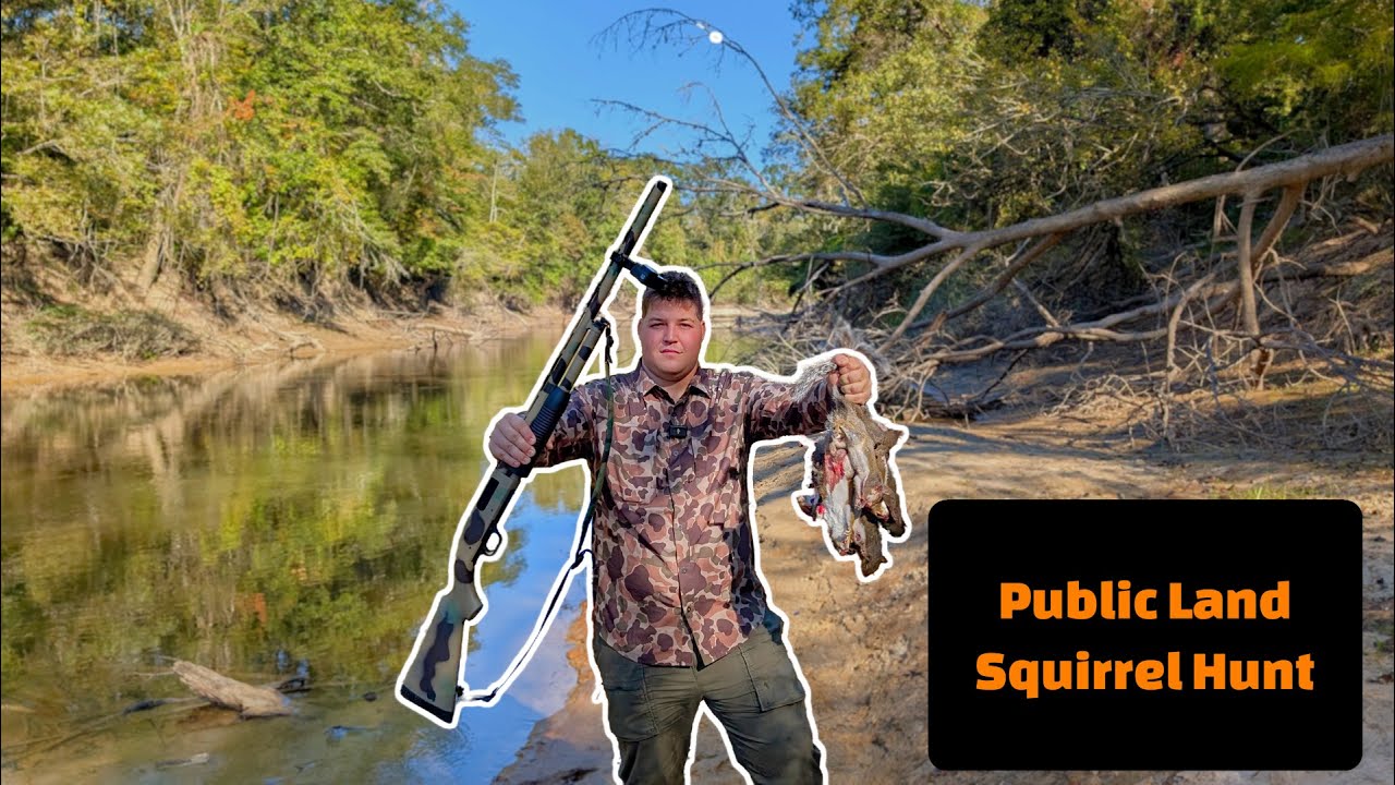 Public land squirrel hunt (Mississippi)