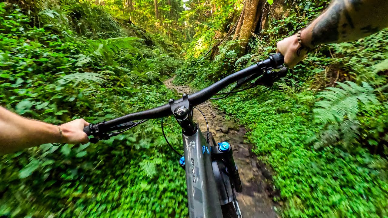 Riding a JUNGLE RAVINE wasn’t on my cards | Mountain Biking Dalby