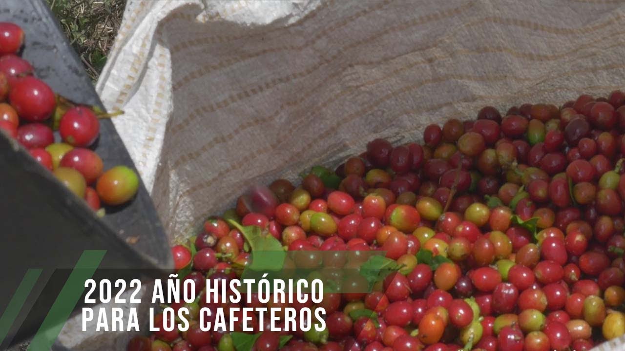 2022 año histórico para los cafeteros - TvAgro por Juan Gonzalo Angel Restrepo
