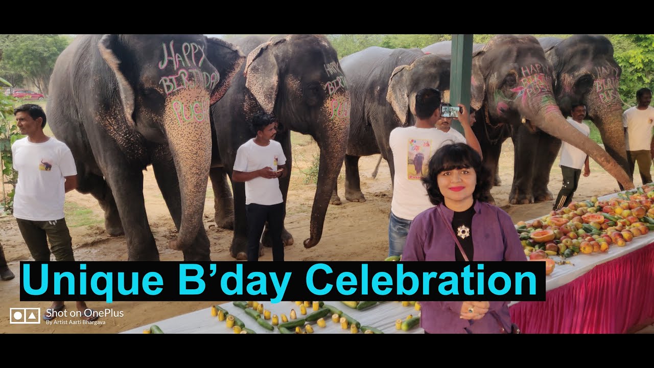 Unique Birthday Celebration of Elephant Pushpa along with 20 Elephants at Hathi Gaon, Jaipur