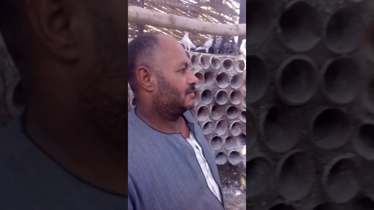 أتفرج على عنابر الحمام المغلقة تصميم وتطوير وتنفيذ المعلم شريف الفخراني01006441652