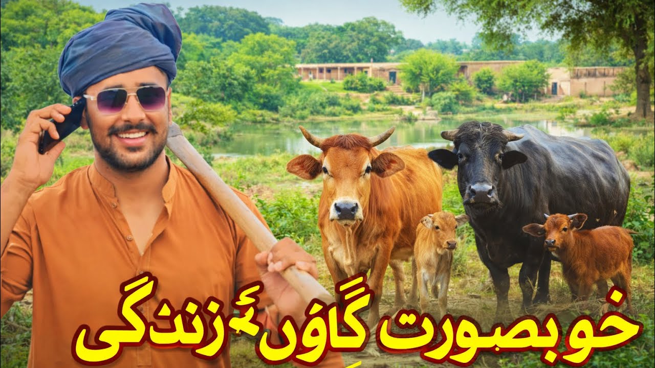 Village Life in Pakistan | Daily Routine Vlog | Umi Bhai Vlogs | Culture & Daily Routine Vlog