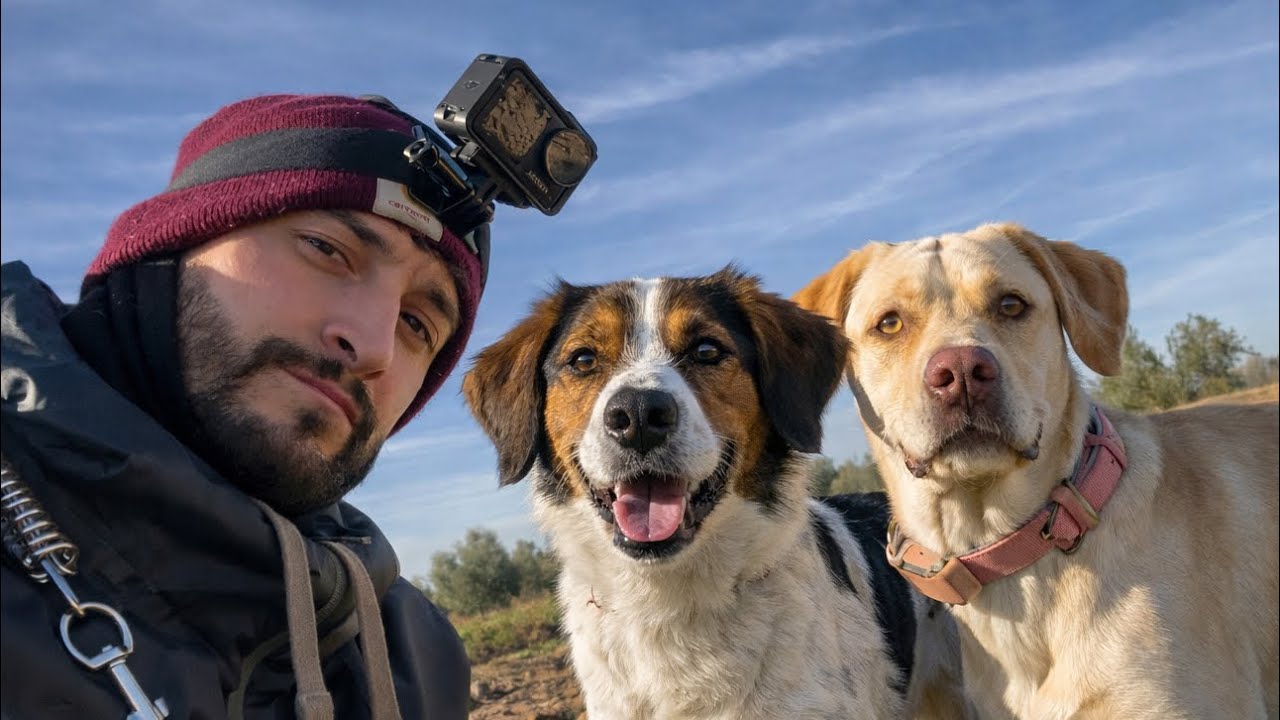 Ruta en bici con mis perros! 