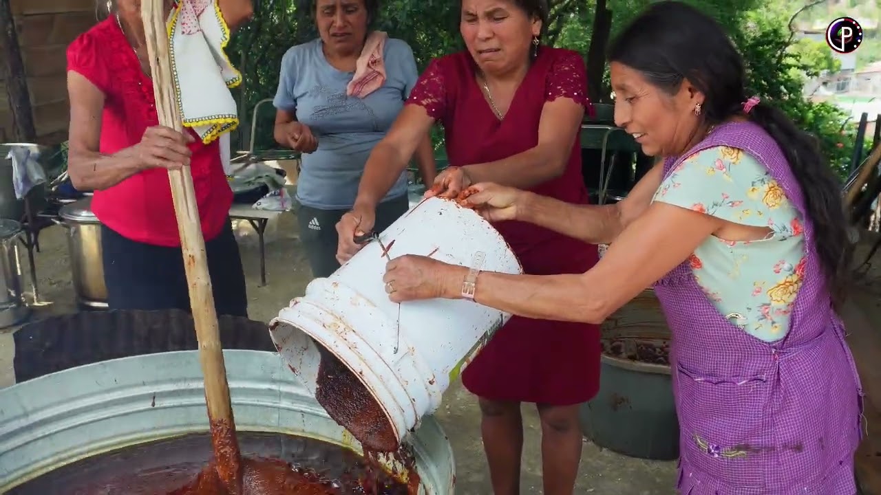 MAYORDOMIA  DE LA NATIVIDAD STA. MARIA YOLOTEPEC 2025