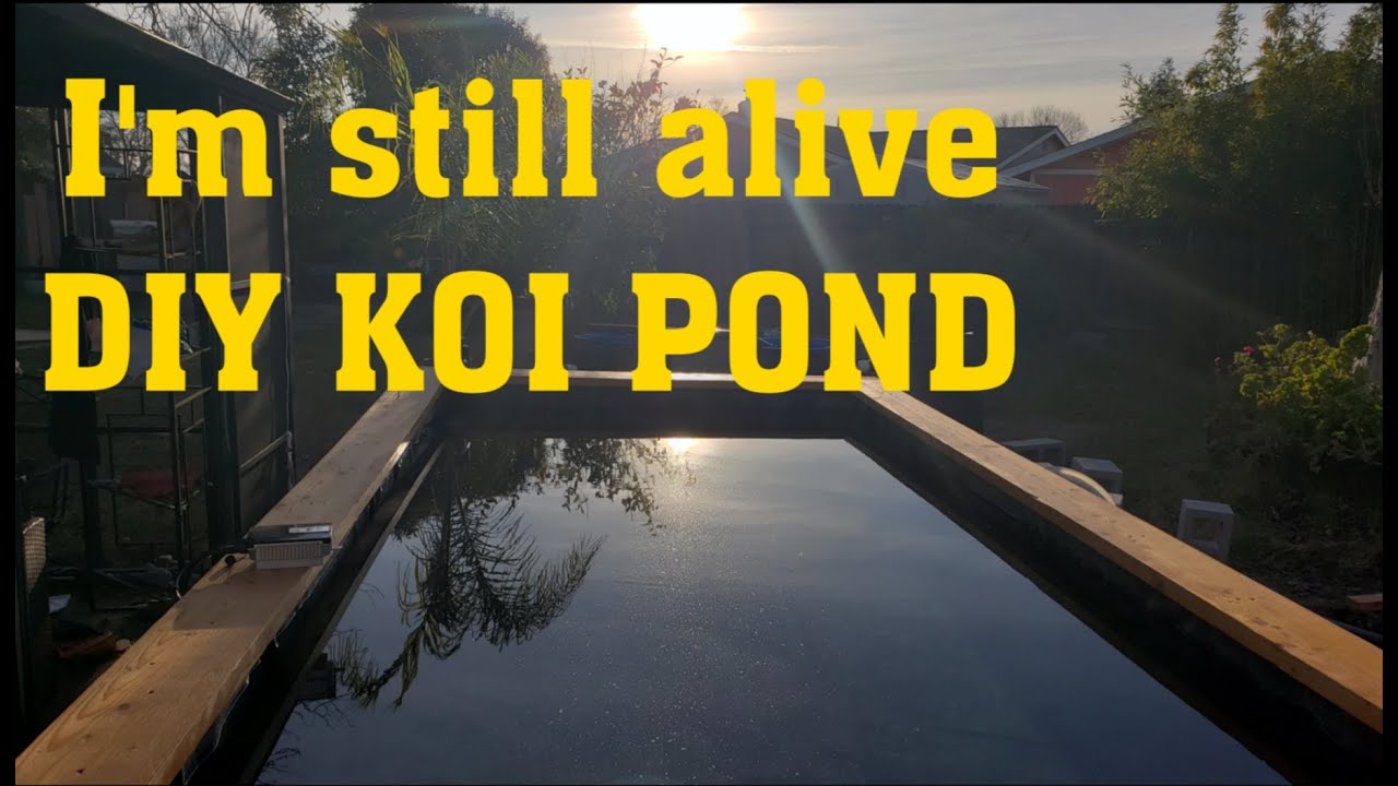 D.I.Y 6x12 x 3 1/2' Raised Koi Pond with filtration system.