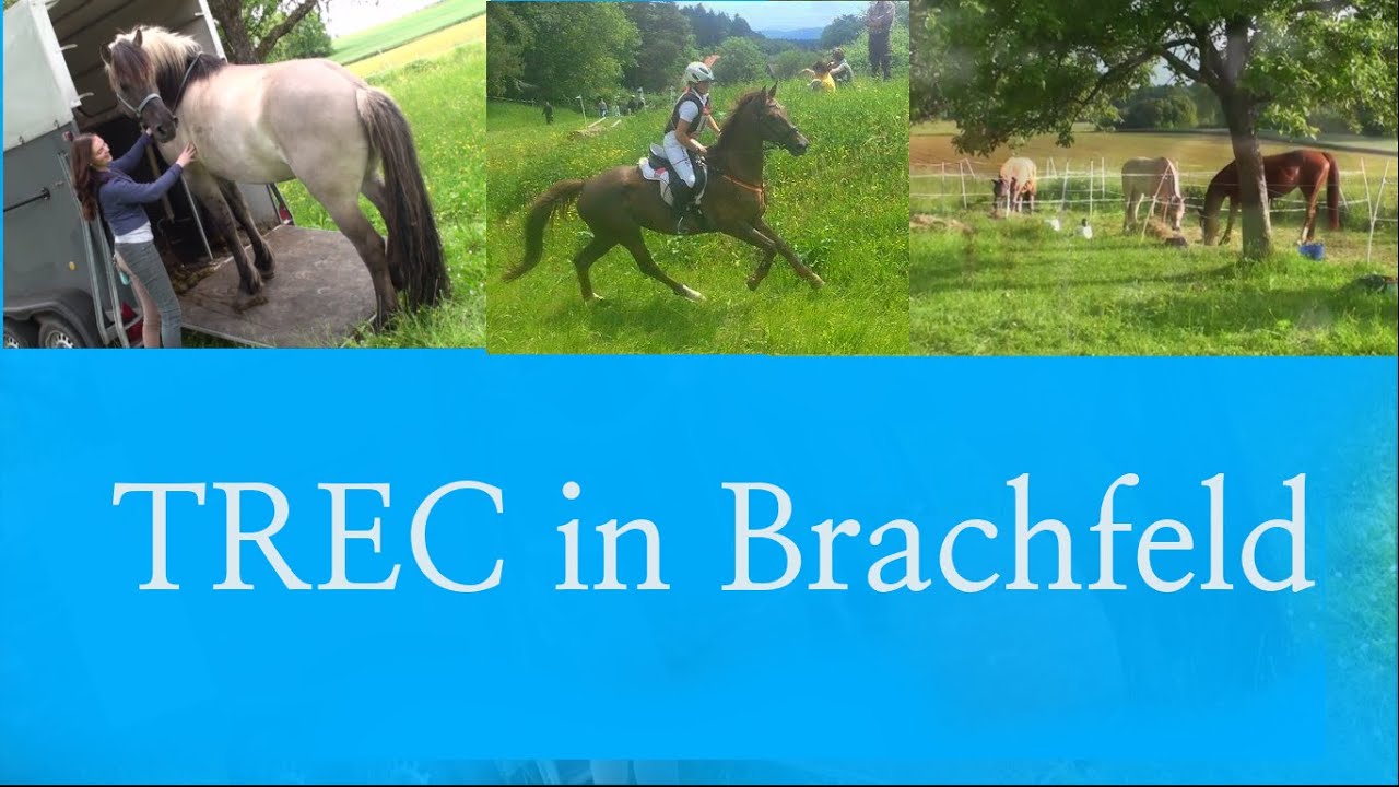 Follow Us Around - TREC Brachfeld