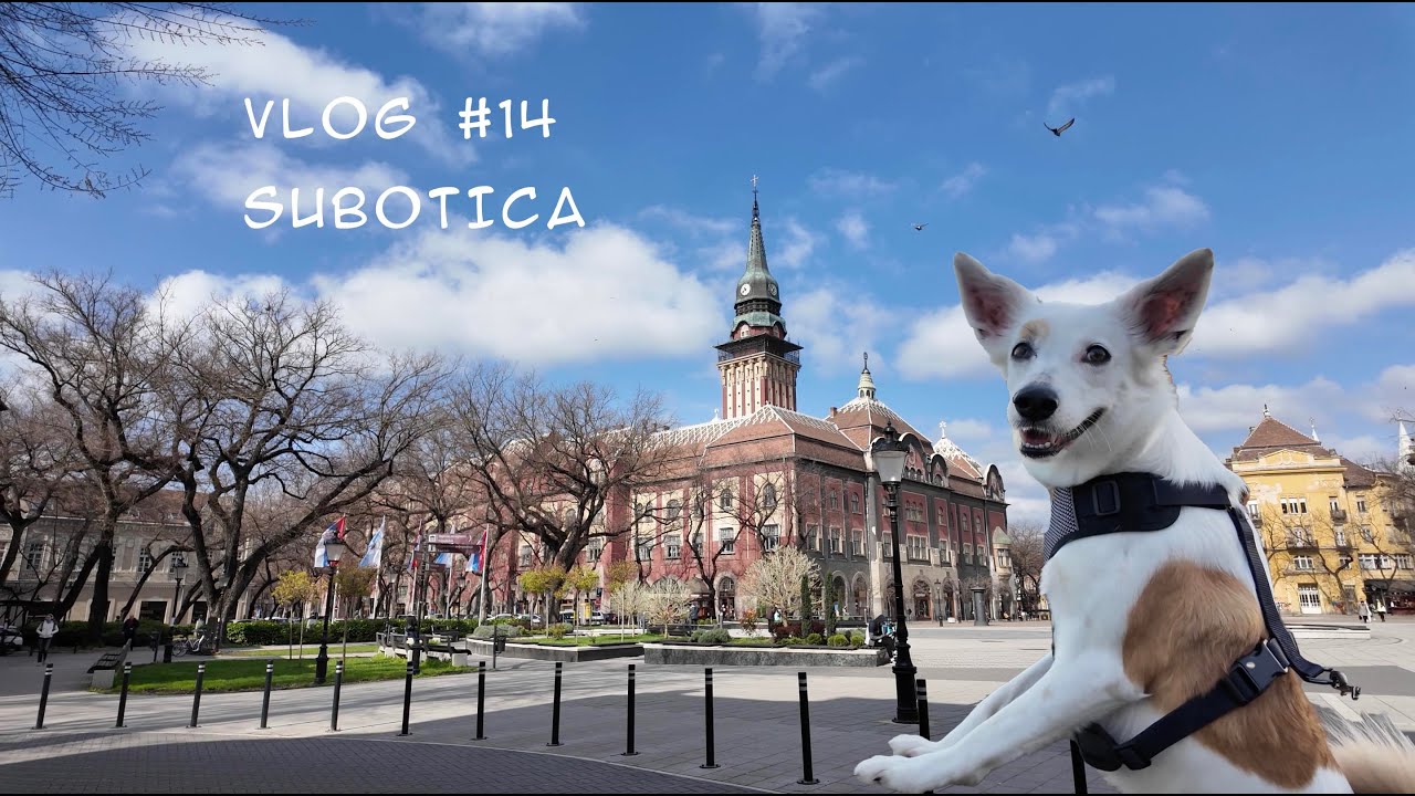 First Impressions of 📍Subotica, Serbia: Exploring the City & Lake Palic with our dog Naida!