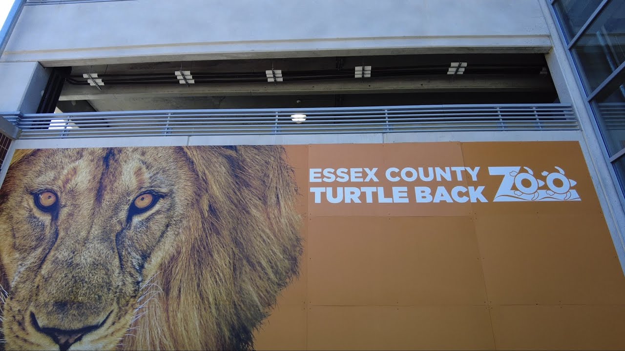 #4K 🇺🇸 Essex County Turtle Back Zoo | 미국에서 다녀온 어느 작은 동물원