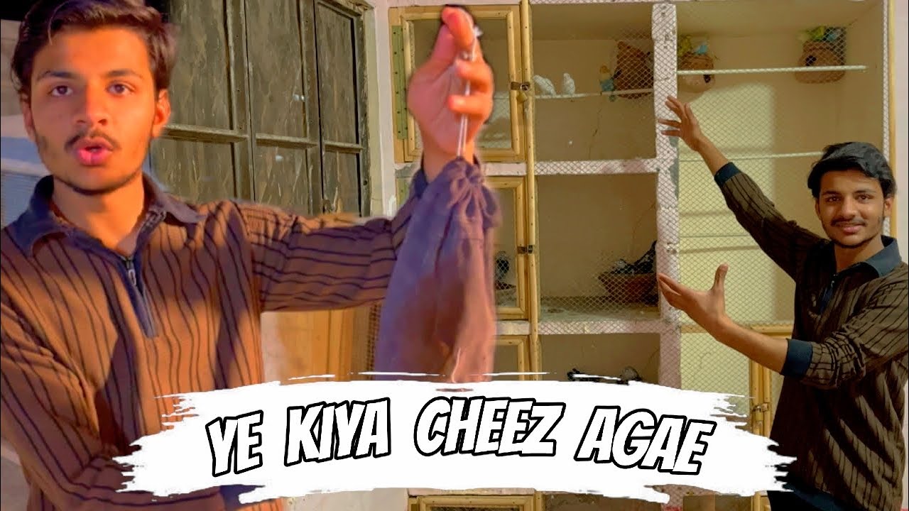 Ap logo k lea dobara bhot nayab chez le ae ❤️ || Pets Zone 