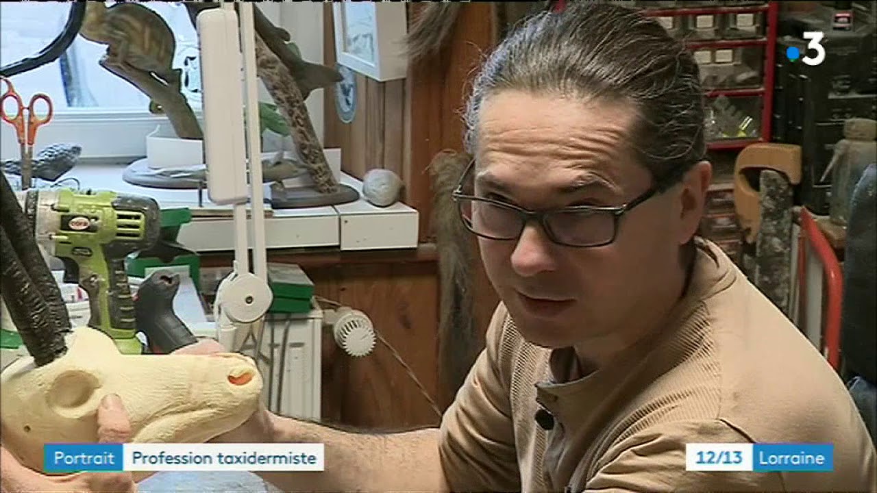 Portrait d'un taxidermiste dans les Vosges