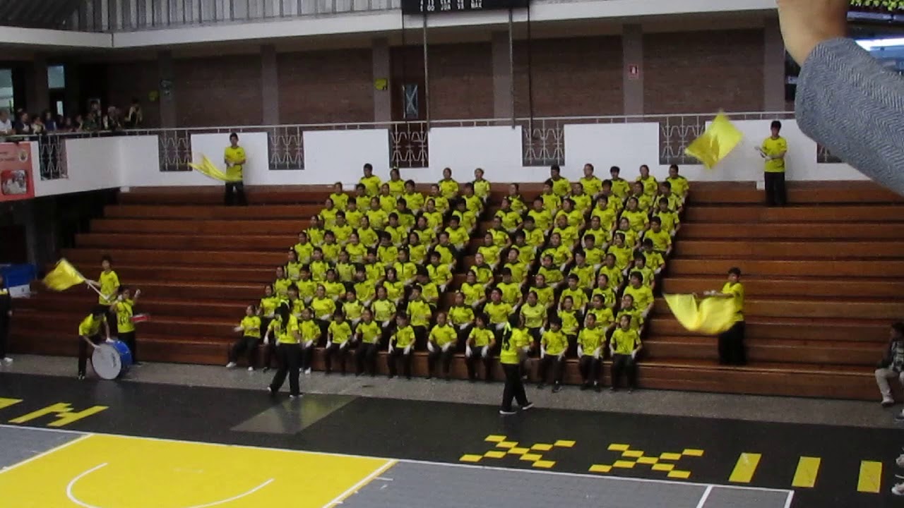 BARRA TIGRE AMARILLO OLIMPIADAS JUAN XXIII 2018