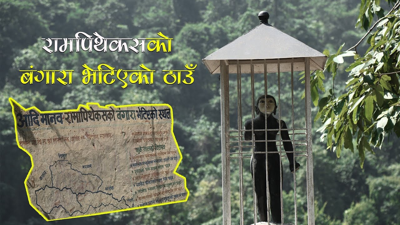 रामपिथेकसको बंगारा भेटिएको ठाउँ  | Ramapithecus Found In Tinau Palpa,Nepal