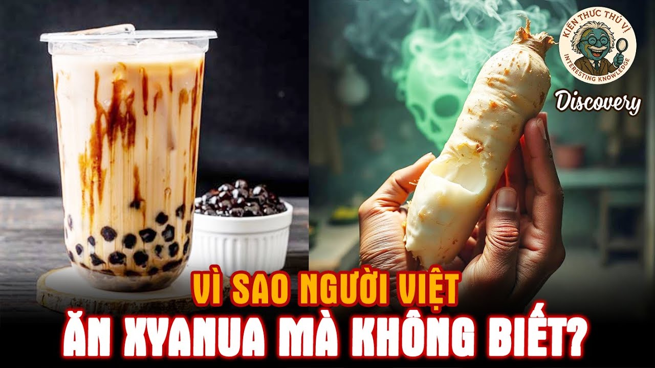 Vì sao người Việt ăn Xyanua mà không biết? Discovery - Kiến thức thú vị