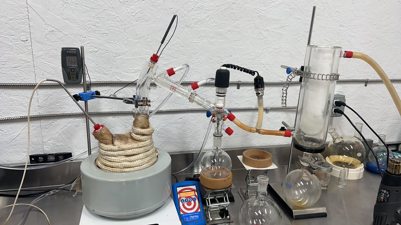 Live from the Lab 🥼 🧪