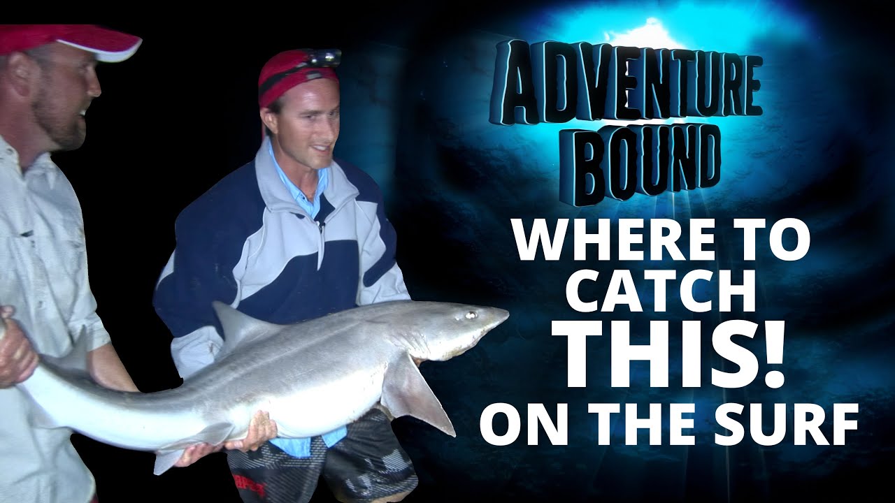 Adventure Bound Classic — Big Gummy On The Surf