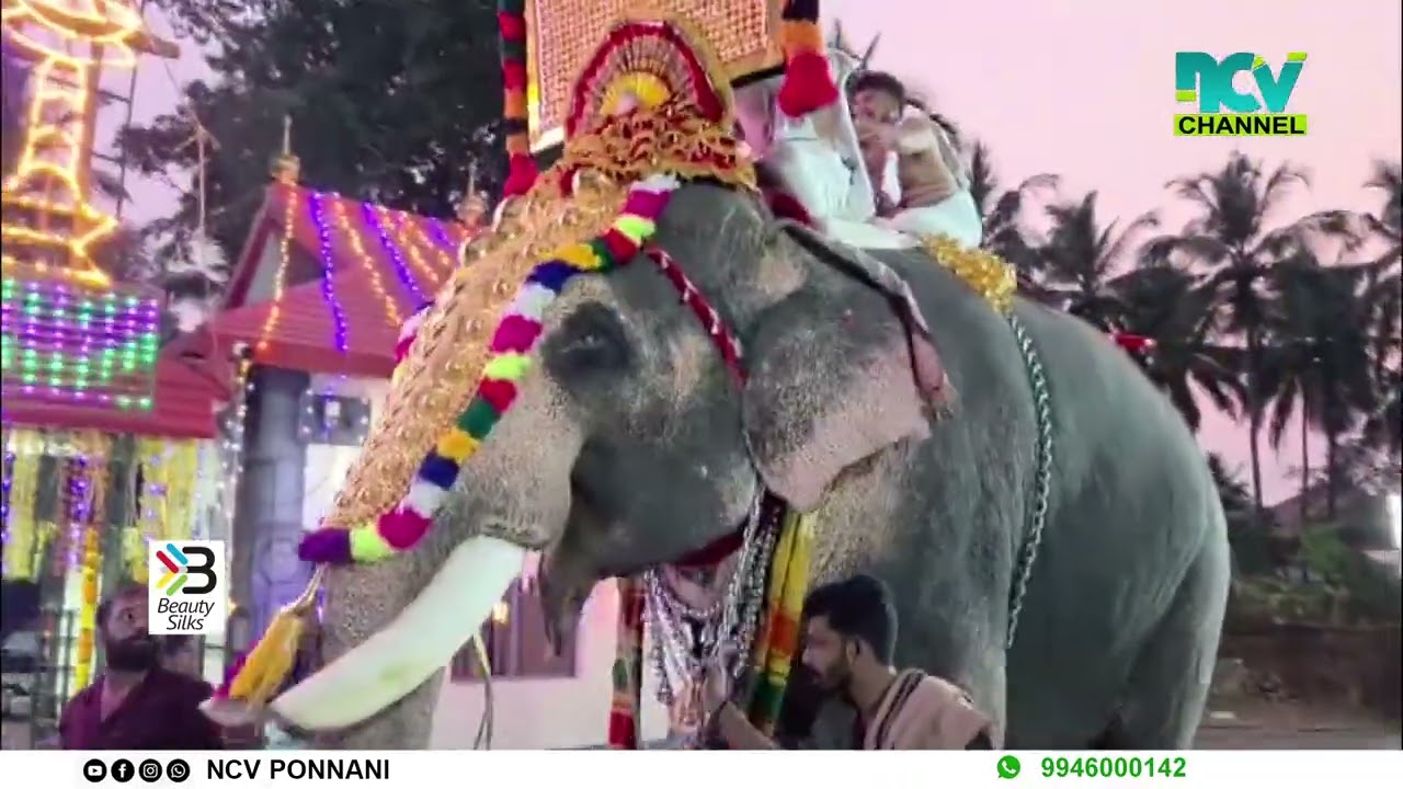 കോലത്രക്കുന്ന് പുതിയ ഭഗവതി ക്ഷേത്രത്തിലെ മകരച്ചൊവ്വ മഹോത്സവം ഭക്തിനിര്‍ഭരമായി ആഘോഷിച്ചു.