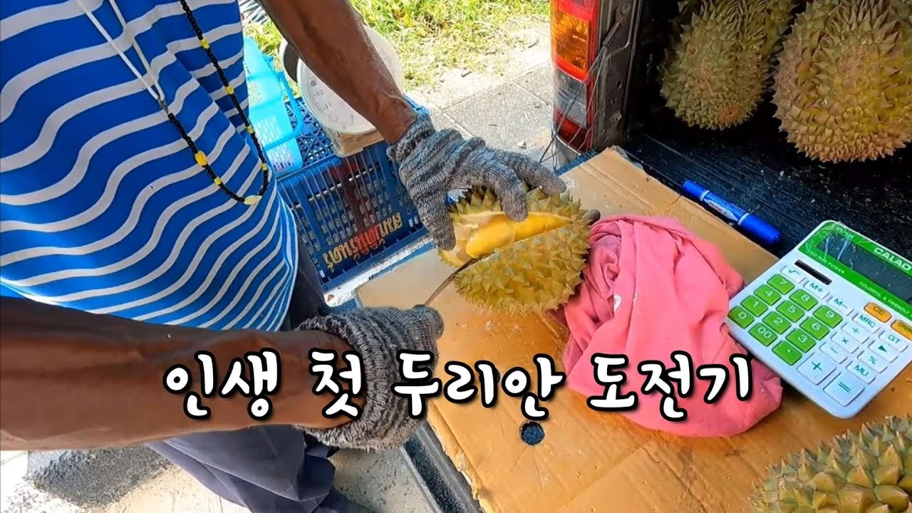 🇹🇭 두리안 x냄새 참아보았습니다 l 태국 푸켓 l 푸켓맛집