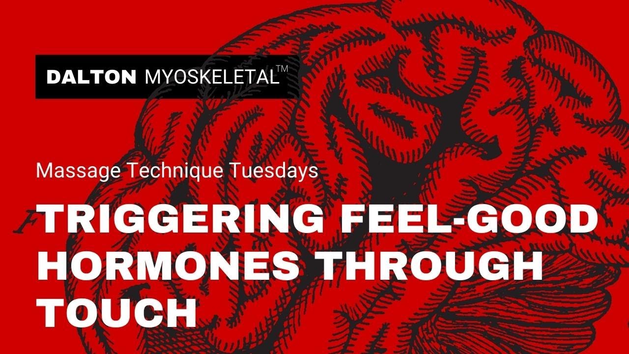 Touch Therapy for Dopamine, Oxyotocin, Serotonin, and Endorphin Release