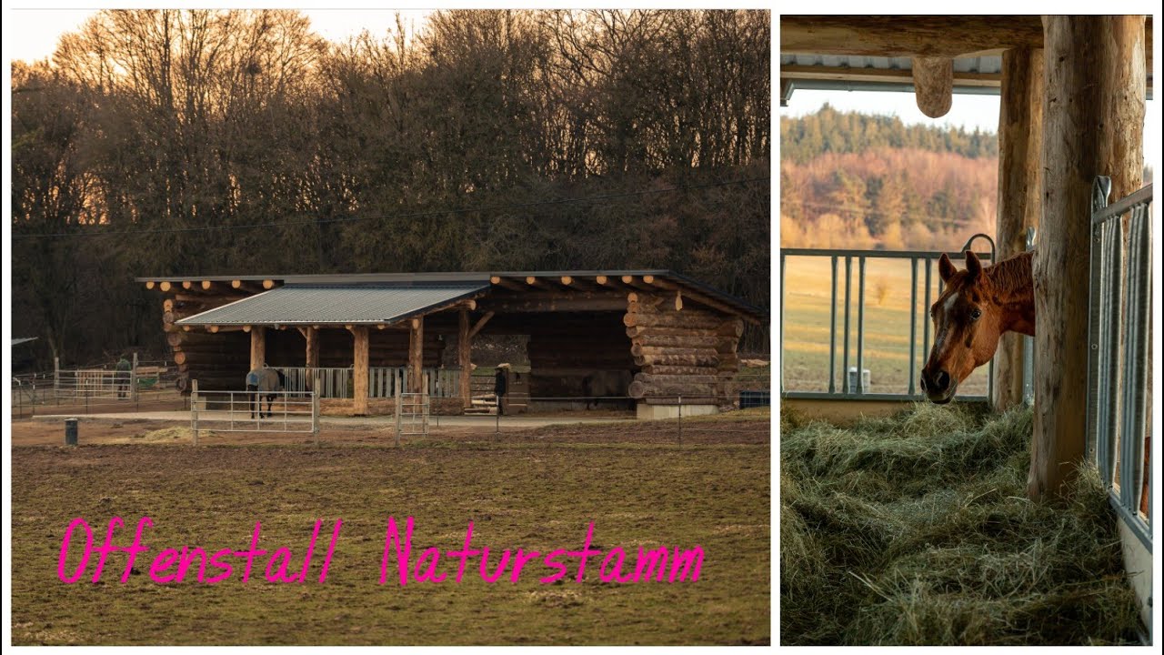 Offenstall Naturstamm