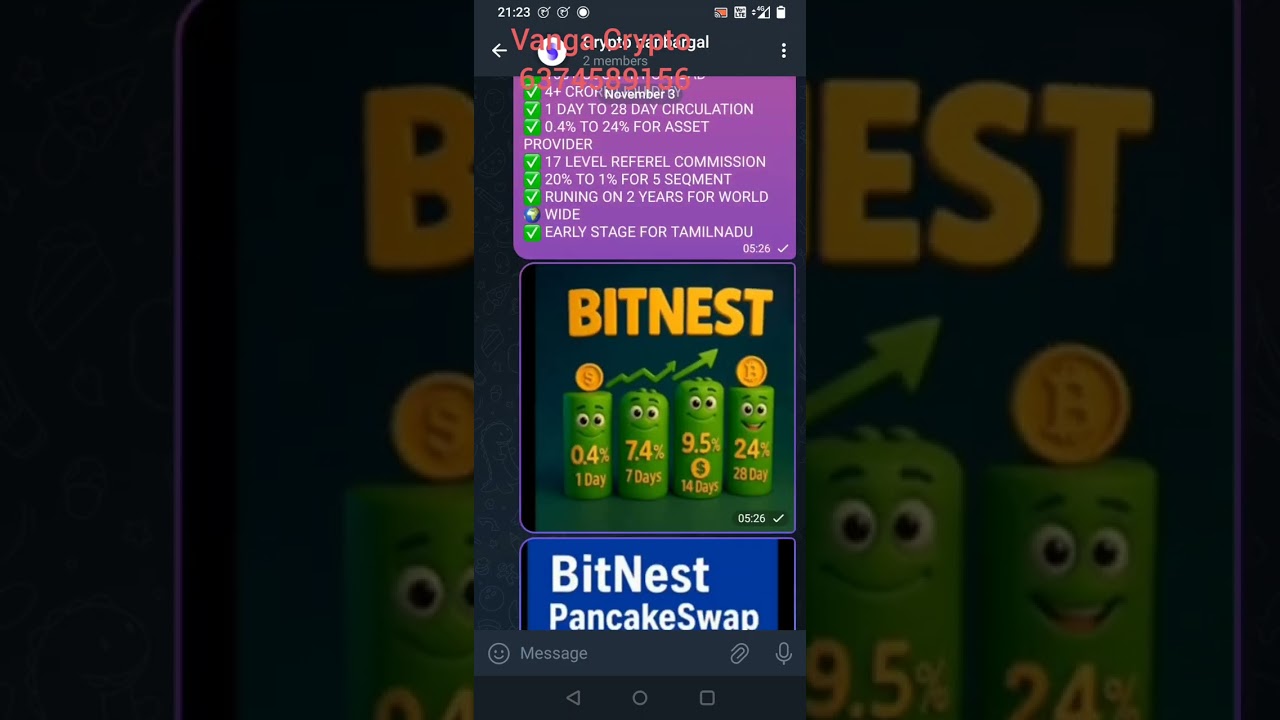 BITNEST UẞDT STAKING PLAN - 24% FOR 28 DAYS - TAMIL EXPLANATION