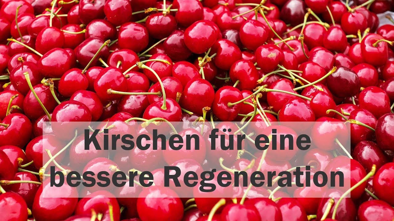 Wie Kirschen und Kirschsaft die Regeneration unterst&uuml;tzen