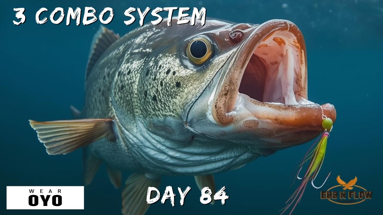 The 3 Rod & Reel System for ALL Saltwater Fishing Situations (24/7 Versatility)