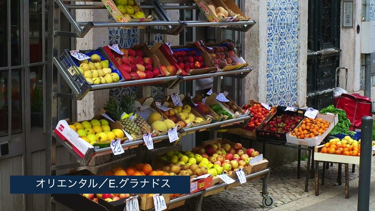 『地球を旅する』映像＆演奏　ポルトガル編（Music;オリエンタル／グラナドス　多重録音）