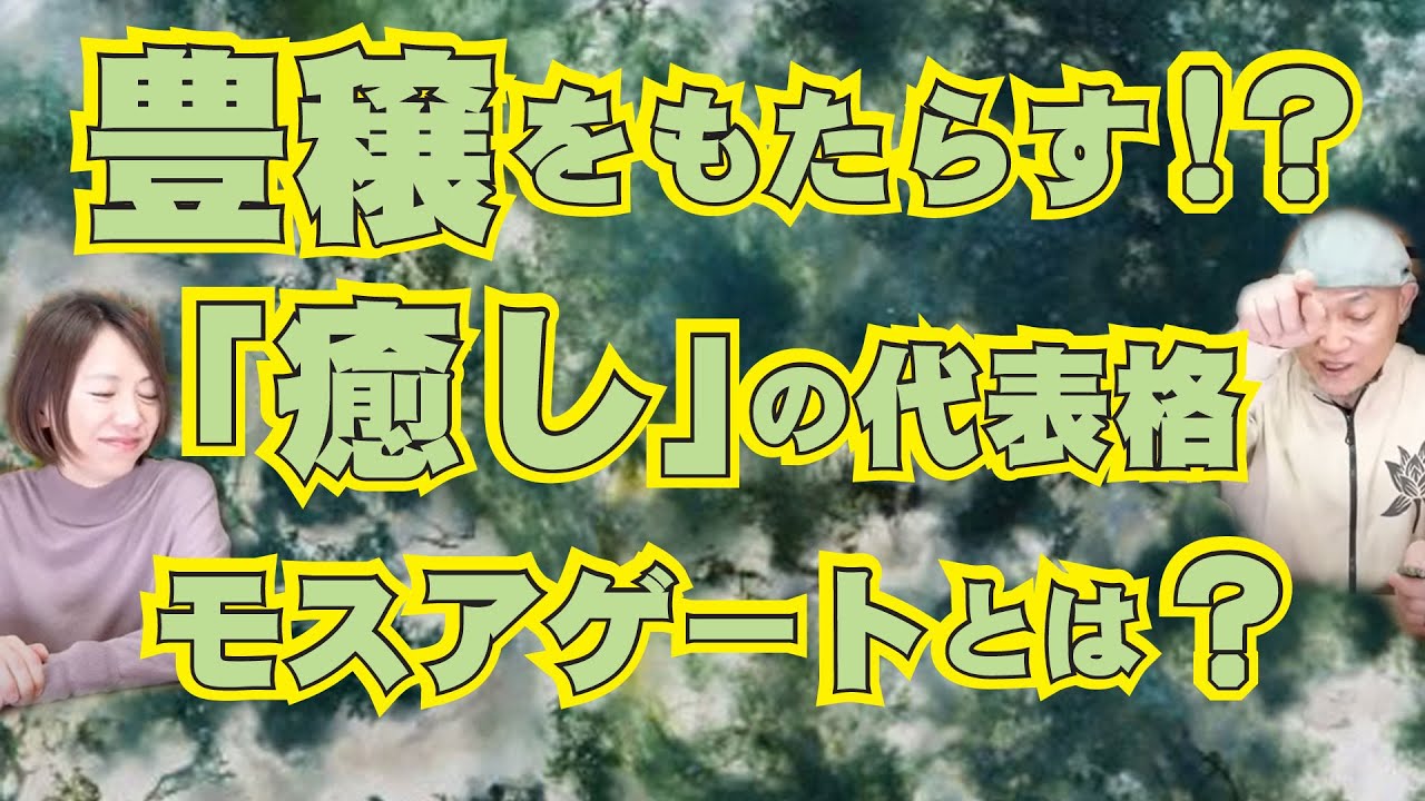 癒し？豊穣をもたらすパワーストーン！？モスアゲートとは？