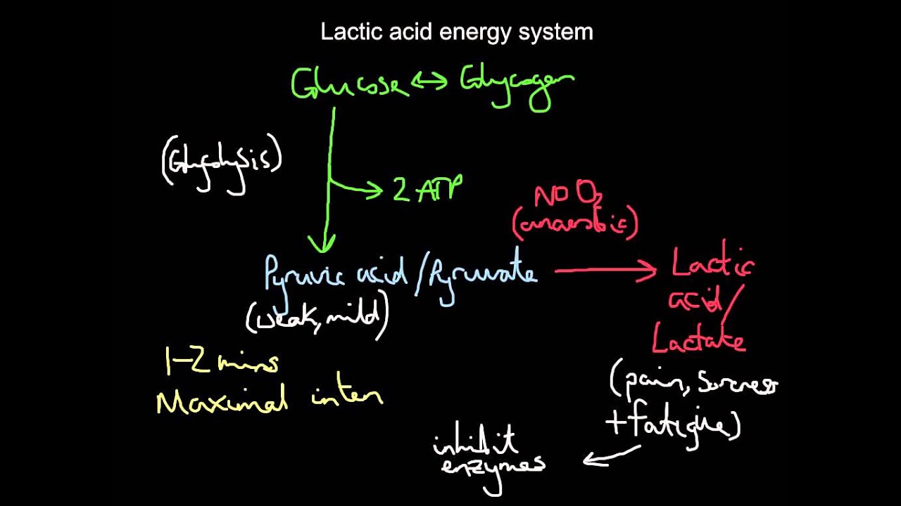 Lactic acid system