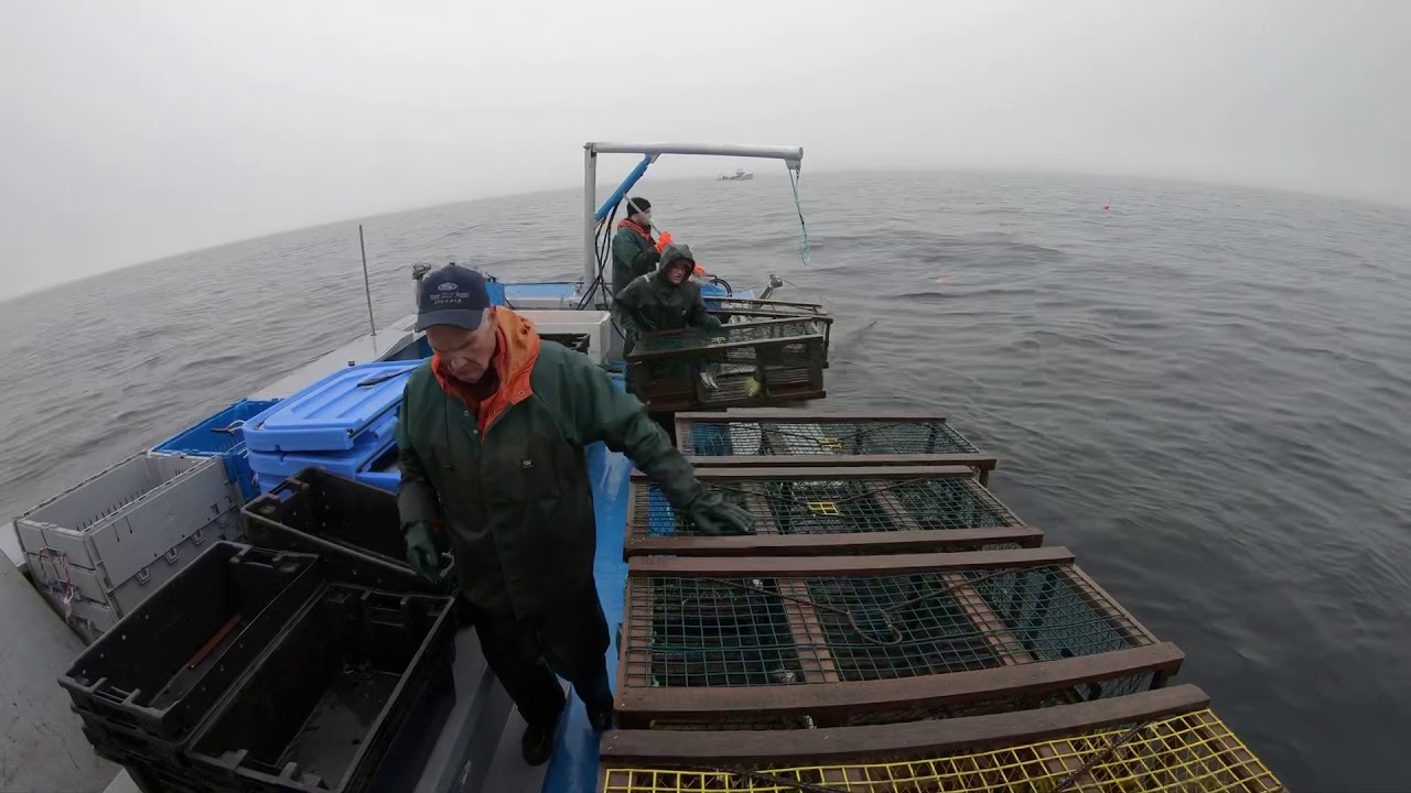 Lobster Fishing Souris PEI 2018