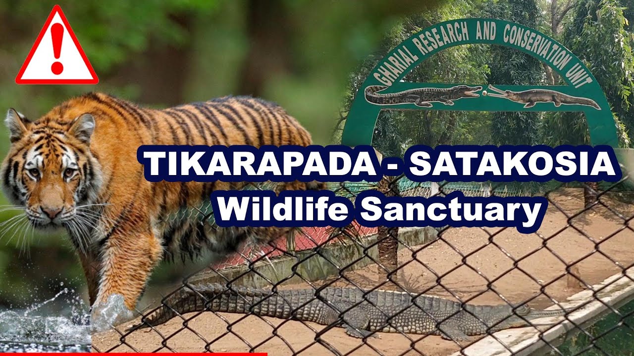 Tikarpada Wildlife Sanctuary , Satkosia Tiger Reserve , Jungle Tour